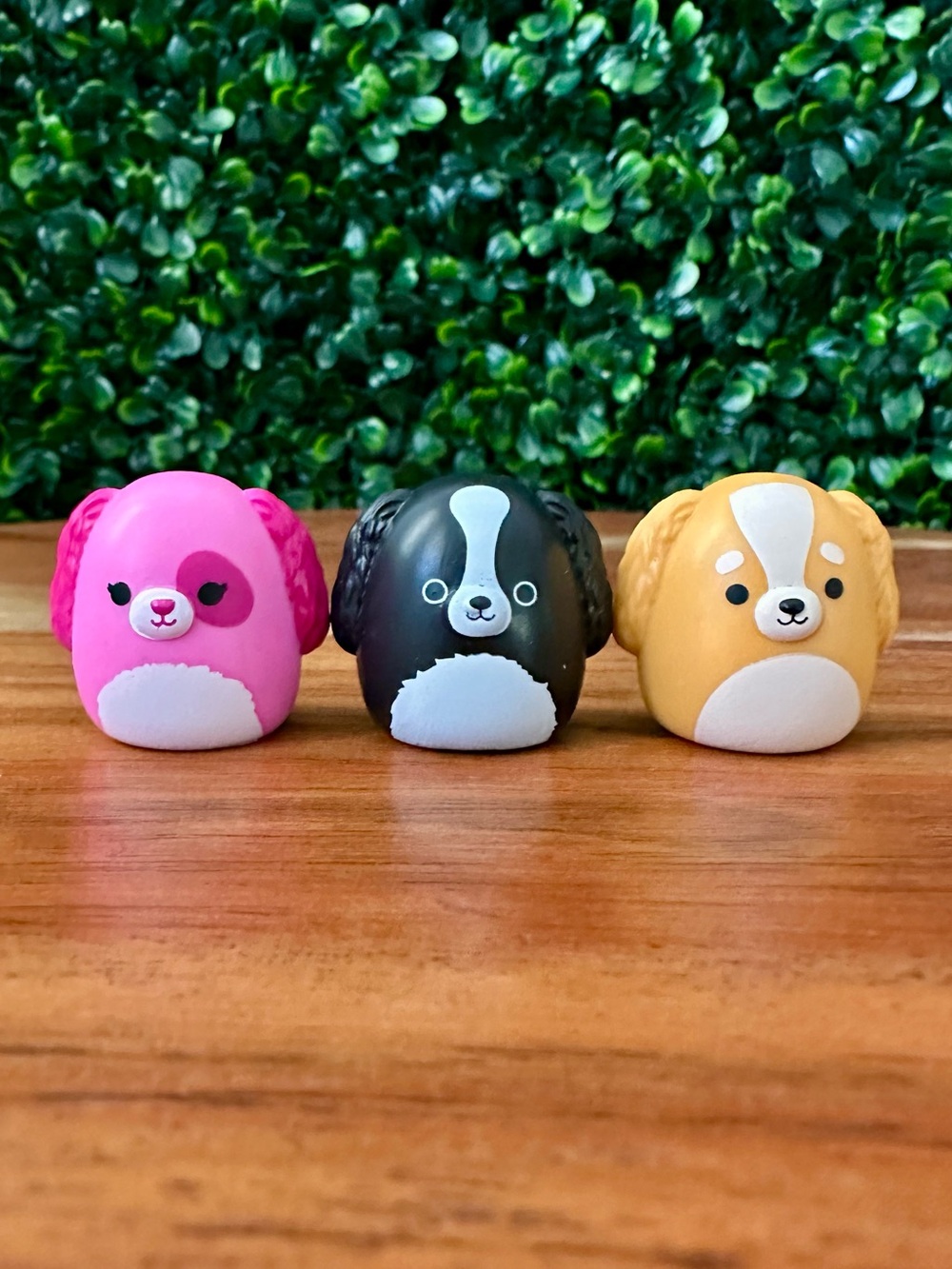 Squish-a-longs by Squishmallows Long-Eared Dogs Bundle